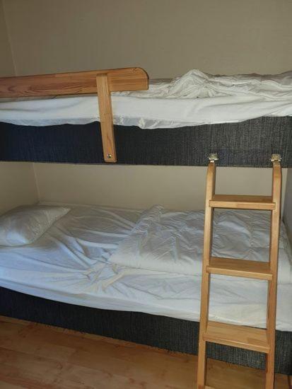 Appartement Bjoernbyn à Sälen Extérieur photo